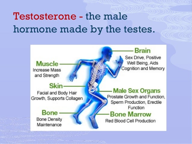 sperm in female bone marrow Sperm in female bone marrow